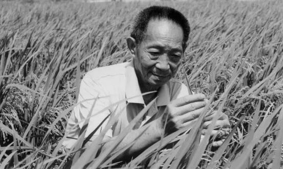 吊唁袁隆平.jpeg